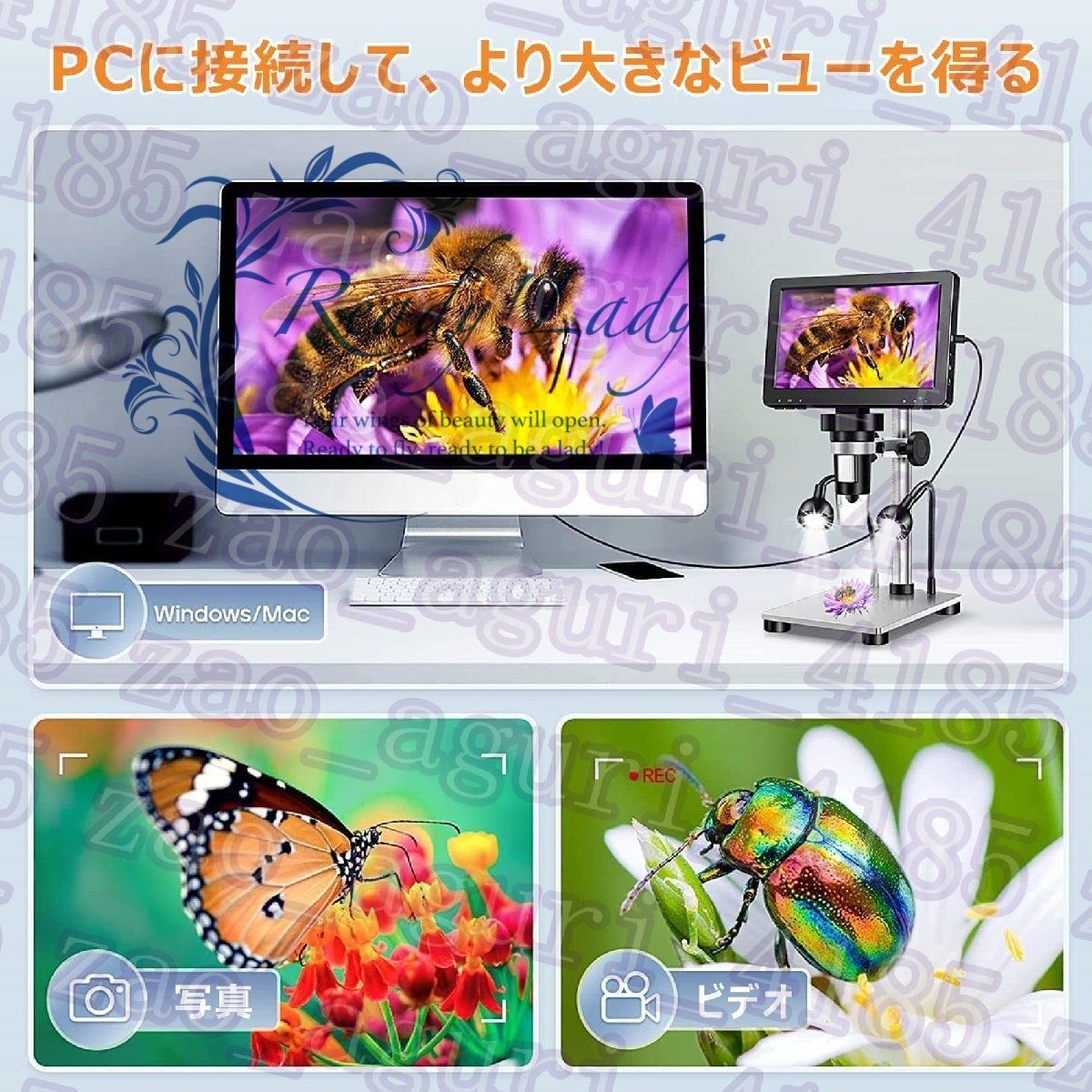12言語対応