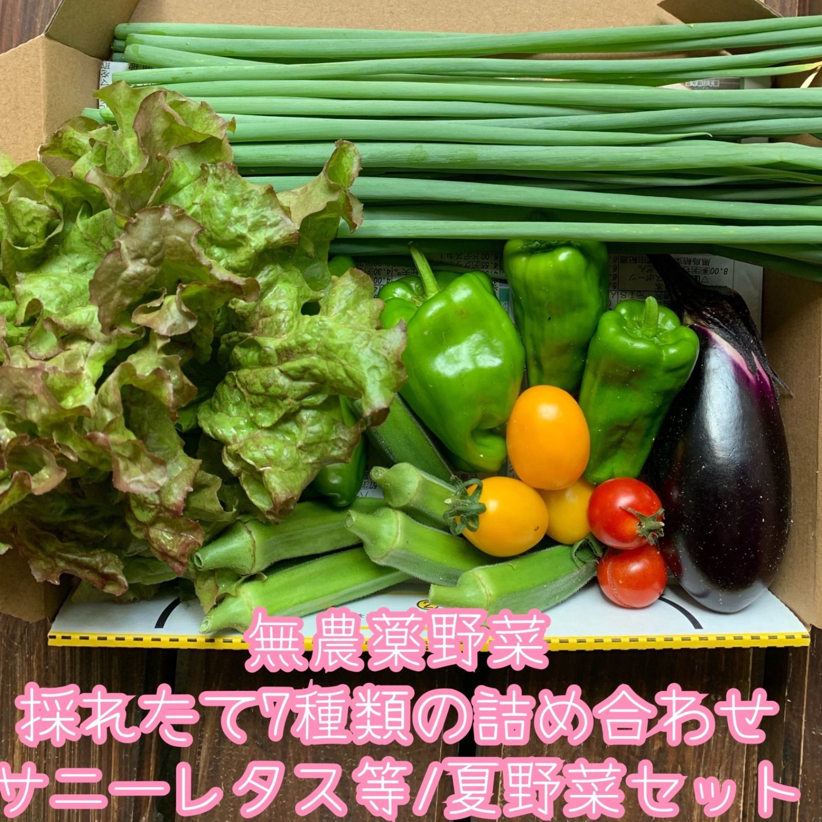 Shop限定価格✨無農薬野菜＊採れたて7種類の詰め合わせ＊夏野菜