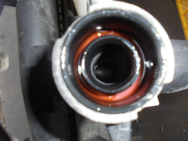 ディライトプラス