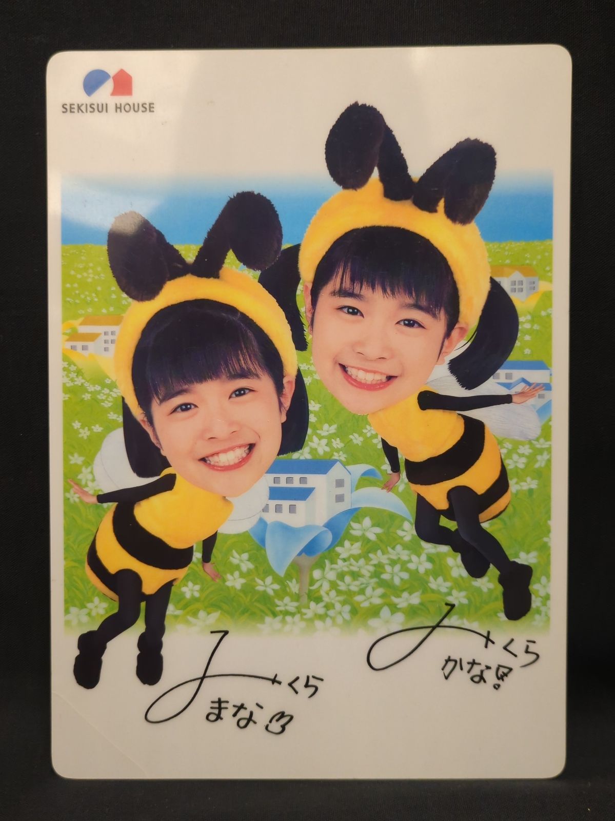 0701 みくらまな みくらかな まなかな 下敷き 29セット