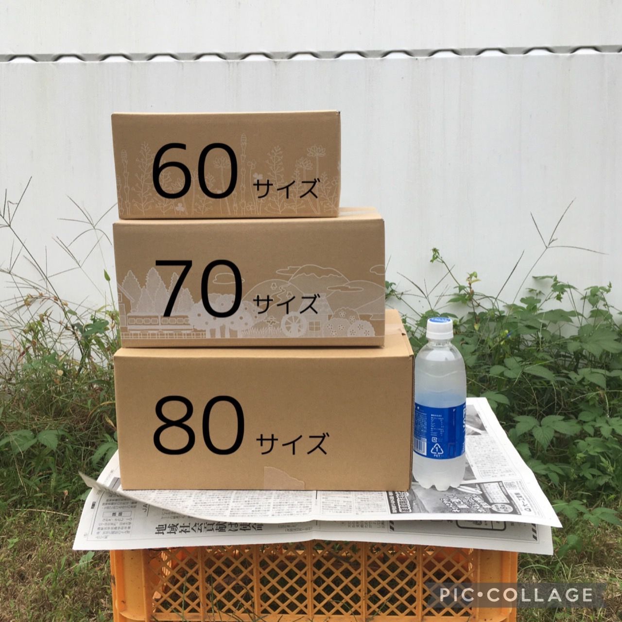 新鮮！旬の野菜セット(夏)70size 栽培期間中農薬・化学肥料不使用　クール便