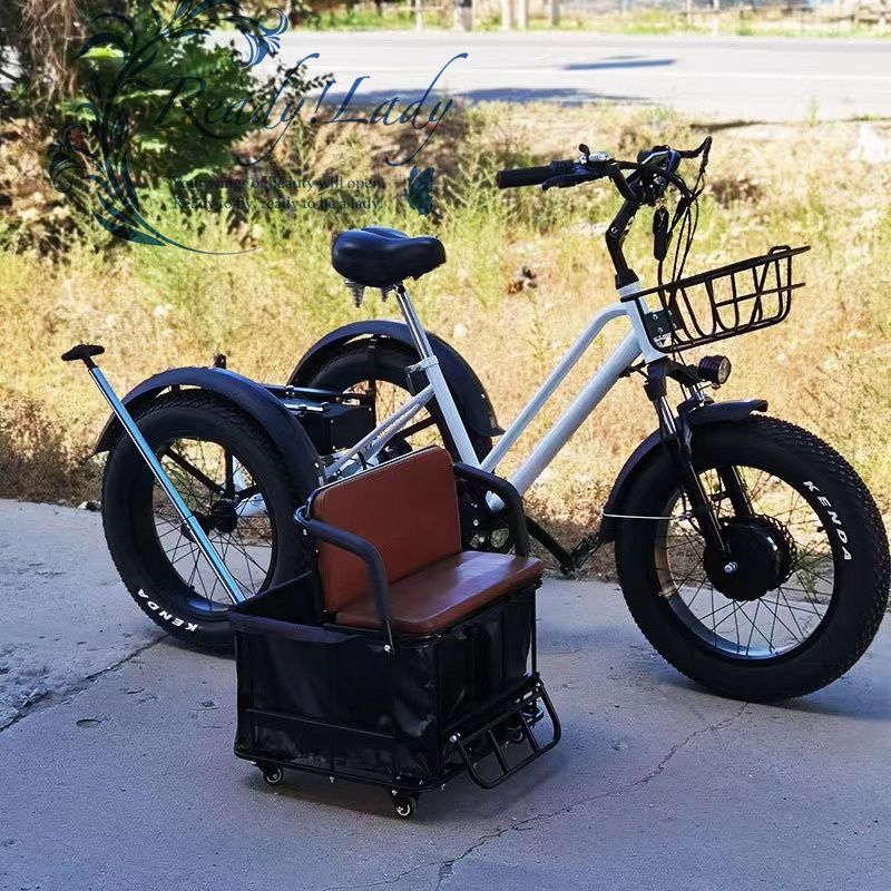 20インチ電動自転車 48V 750Wワイドペダル 三輪車 厚手のタイヤ リチウム電池 三輪車