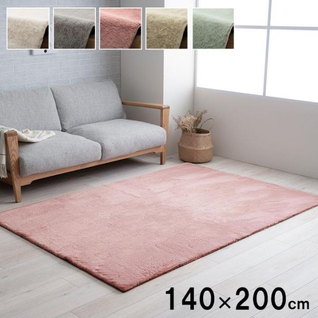 赤本 弘前大学 医学部 2008年～2022年 15年分 音楽大学・学校案内 2015