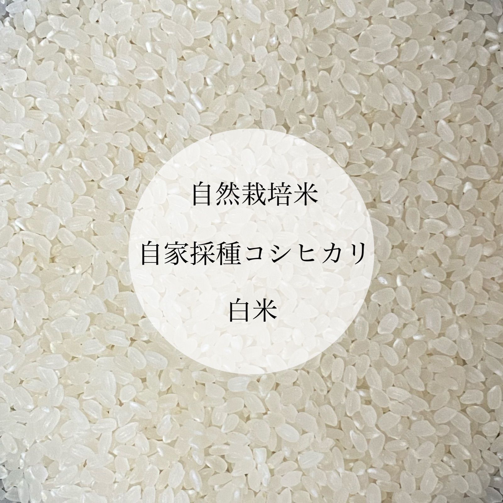 令和4年新米 自然栽培米 玄米20kg 農薬不使用・肥料不使用 コシヒカリ