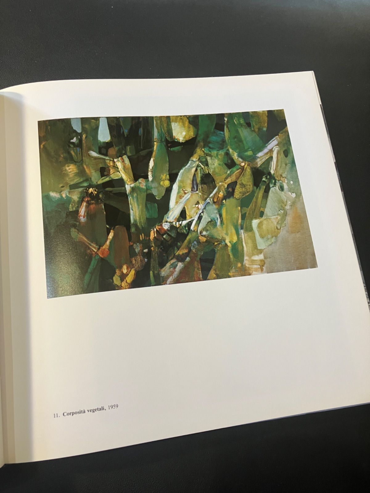 ZARD20周年記念写真集 ZARD(坂井泉水) Portfolio du 20eme 濾せ