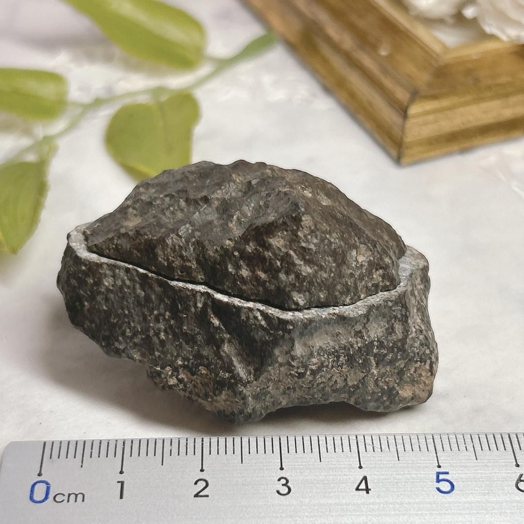 【E24395】 石質隕石 普通コンドライト 隕石 Condrite NWA869 メテオライト 天然石 パワーストーン