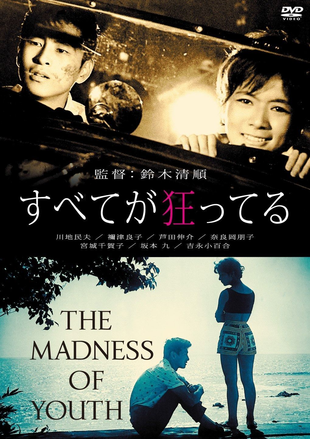 すべてが狂ってる DVD