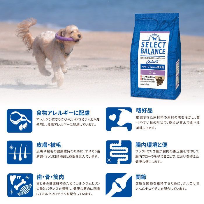セレクトバランス アダルト ラム 小粒 1才以上 成犬用 15kg