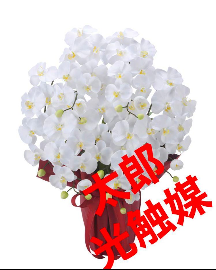 人工観葉・フェイクグリーン 光触媒 人工観葉植物 フェイクグリーン