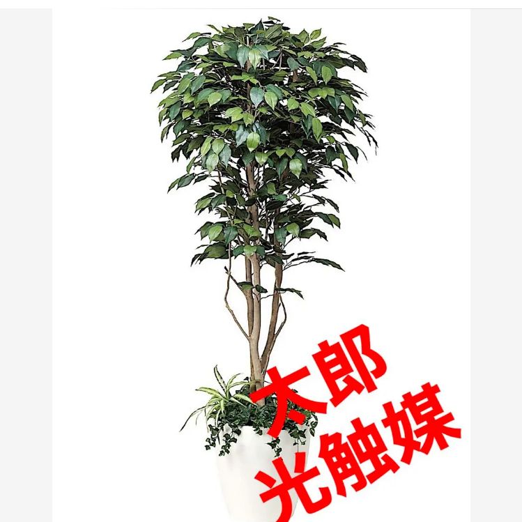 光触媒　人工観葉植物　ウォールグリーン　フェイク　フラワー　ベンジャミン@gja 光触媒 人工観葉植物 ウォールグリーン フェイクグリーン ベンジャミン