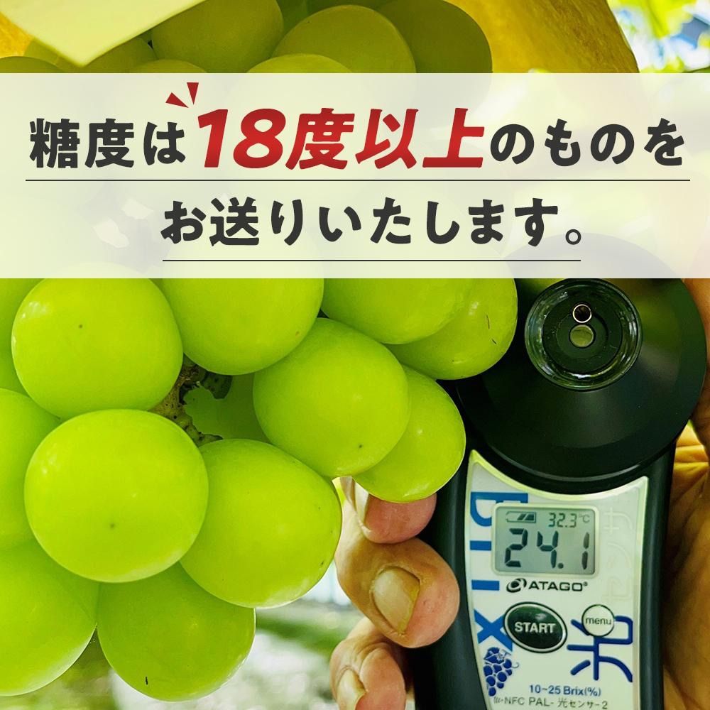 岡山県シャインマスカト農林大臣賞 無農薬5房秀品上品な甘さ特別