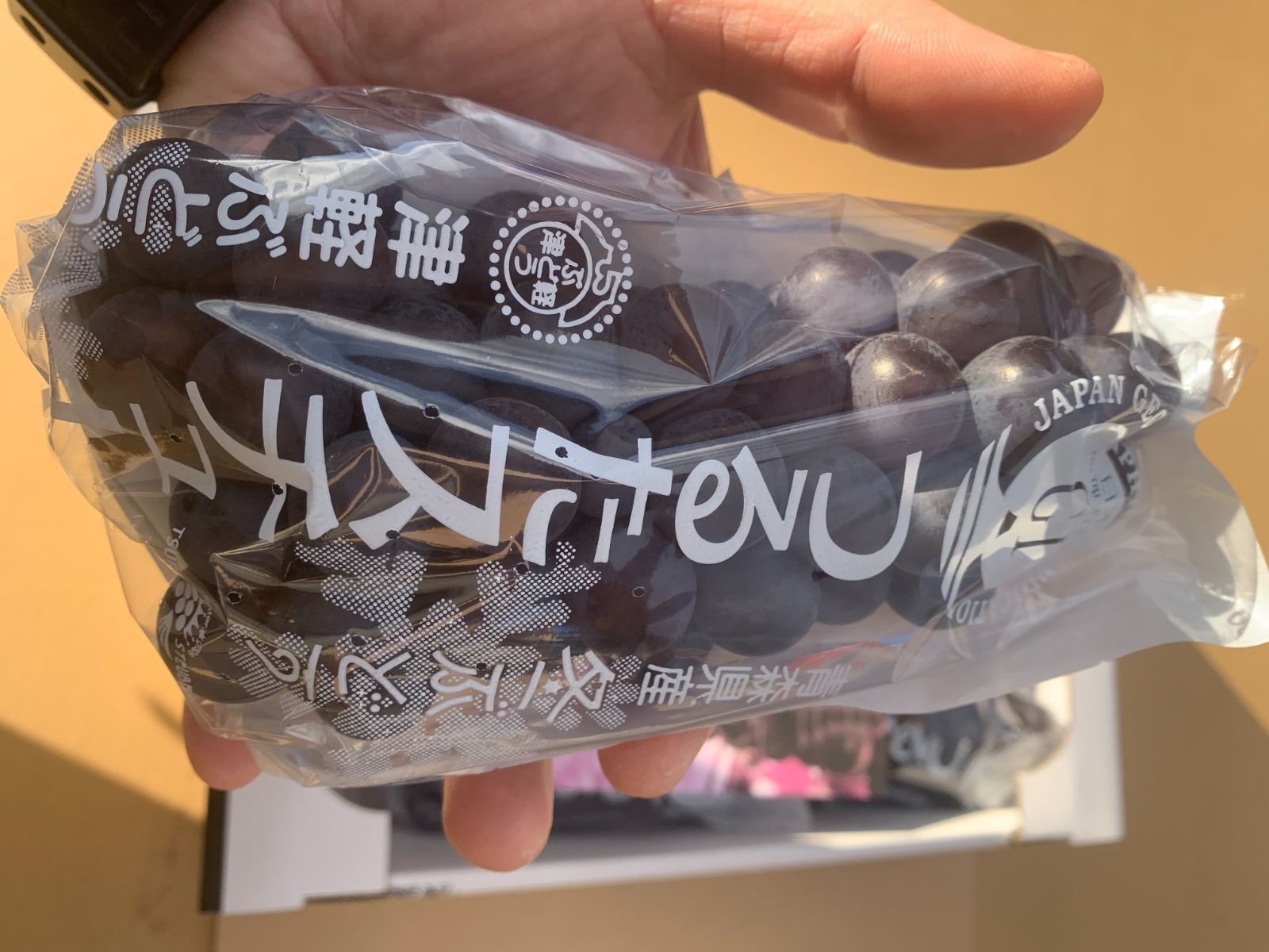 【大大特価】青森県津軽地方産ぶどう　つるたスチューベン　約１０キロ　ご家庭贈答用 大特価セール】【常温便送料無料】【秀】青森県津軽地方産ぶどう つる