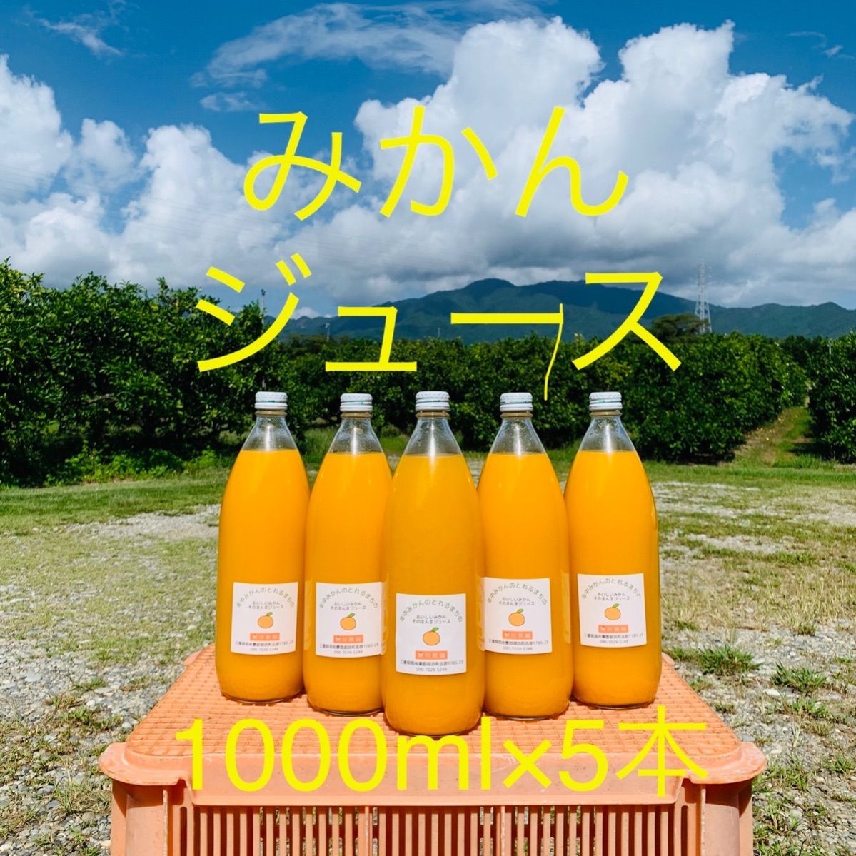 デコポンジュース1000ml×5本 - 酒