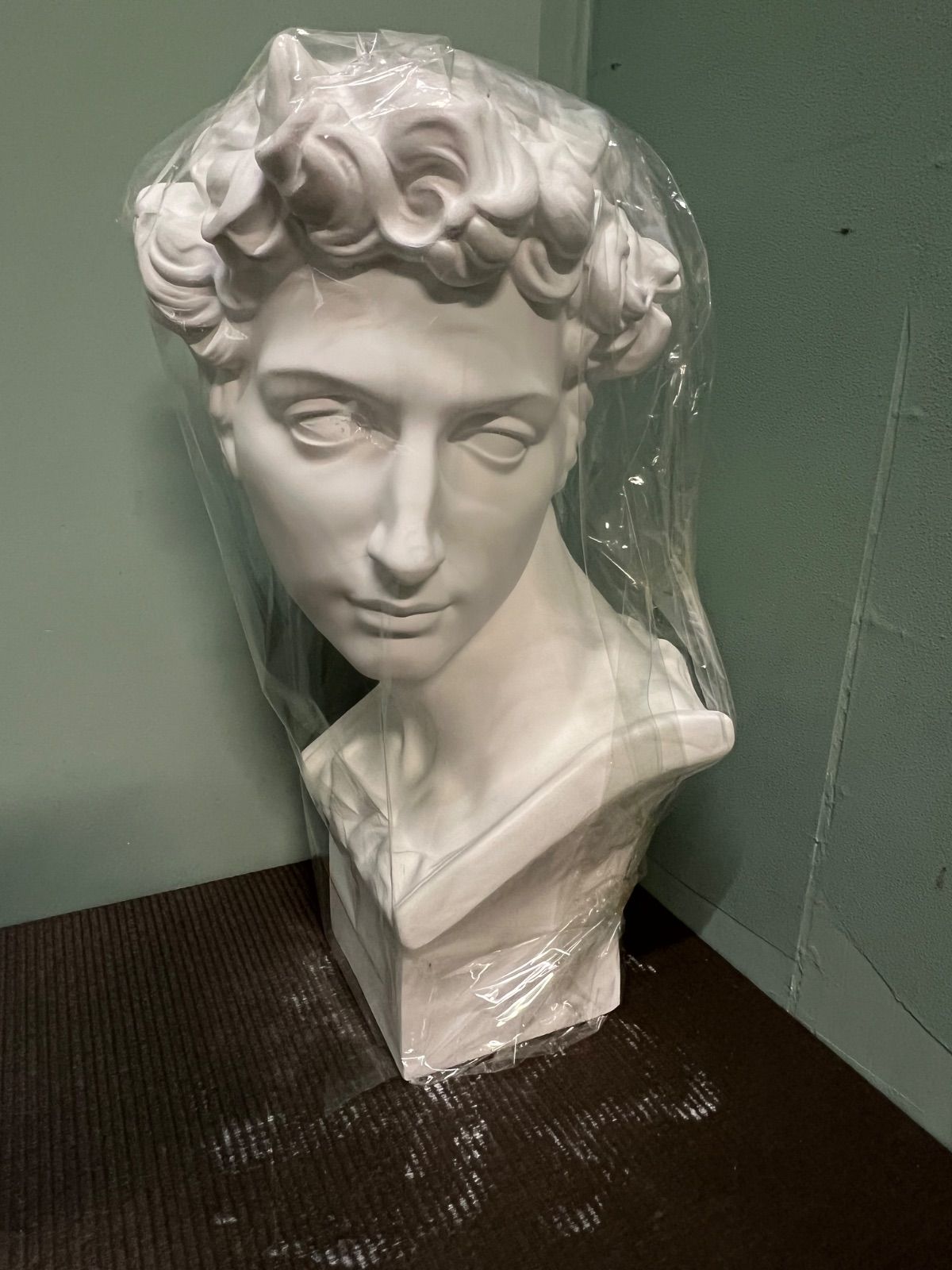 ショップ ⭐︎ 美術 石膏像 胸像 美術 彫刻 デッサン メディチ 石膏