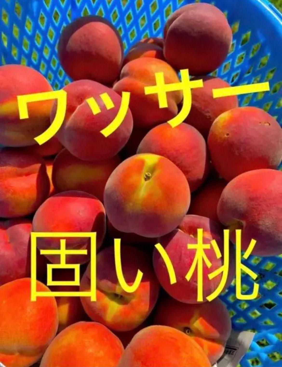 長野県産　ワッサー　硬い桃　モモ　もも