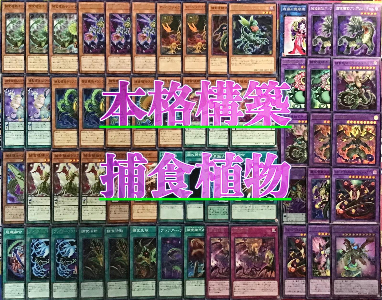 本格構築 【捕食植物】デッキ メイン＆EX15枚＆スリーブ セット 本格構築 【捕食植物】デッキ メイン＆EX15枚＆スリーブ セット