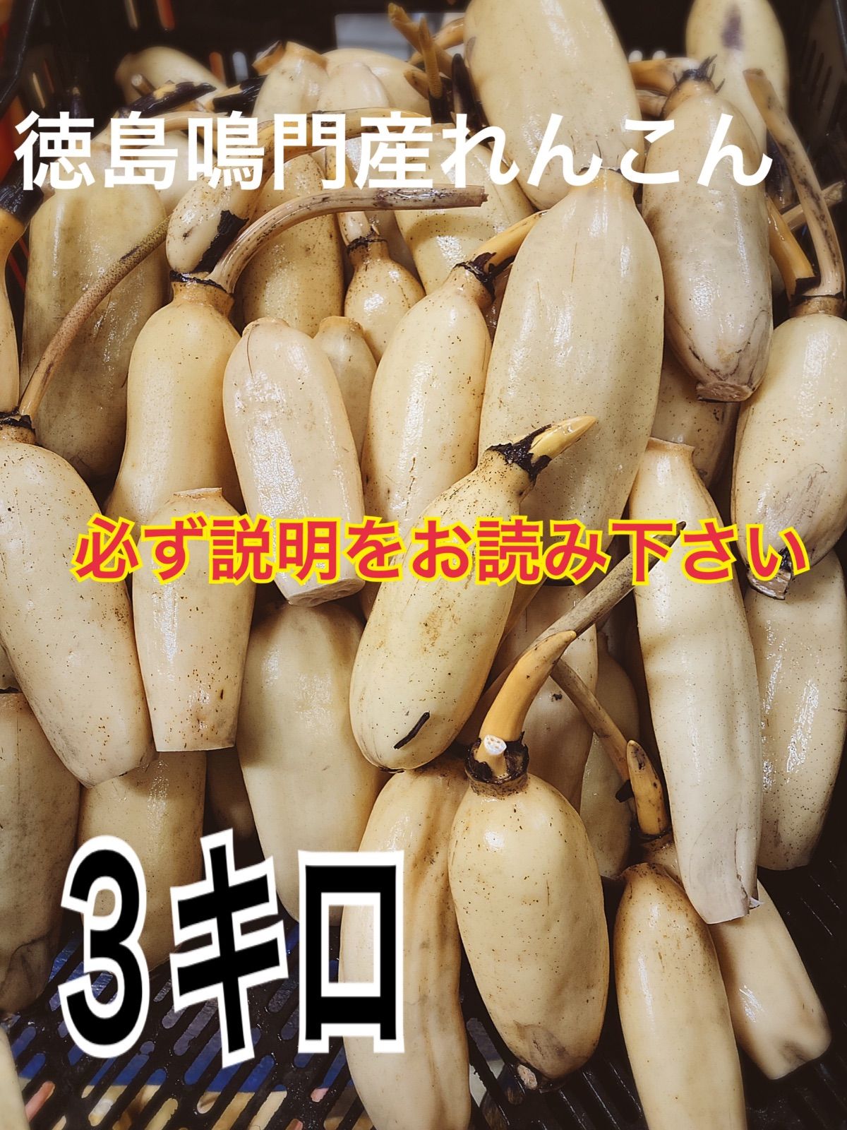 鳴門れんこんさん❤️3キロ 順次発送 - メルカリ