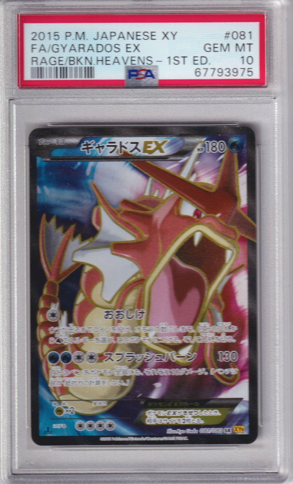 沸騰ブラドン PSA10 ポケモンカード ギャラドスEX SR ポケカ ポケモン ...