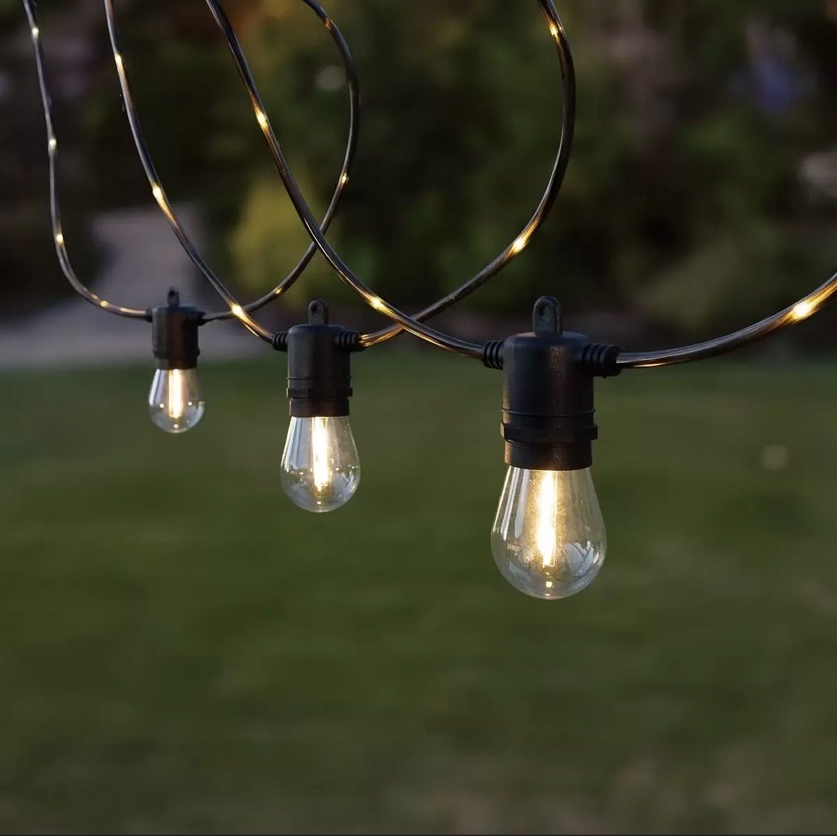 ファイヤーフライ LED