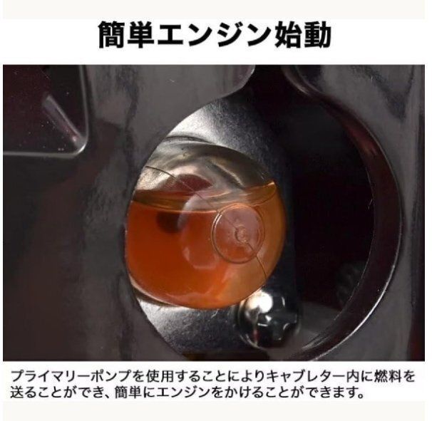 洗車 落ち葉