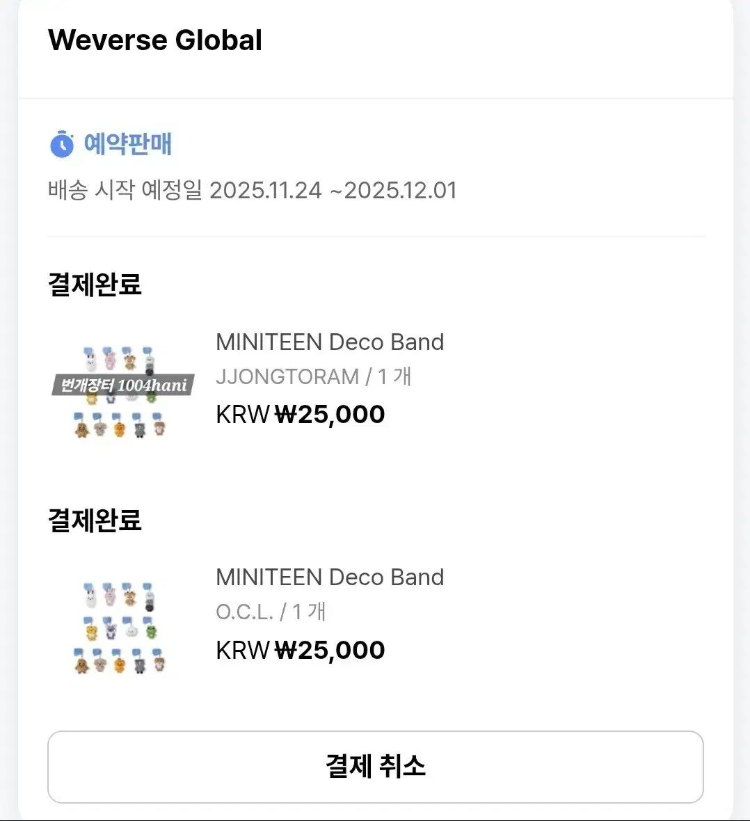 ミニティーン デコバンド チョン・トラム 韓国アイドル トレカ デコ