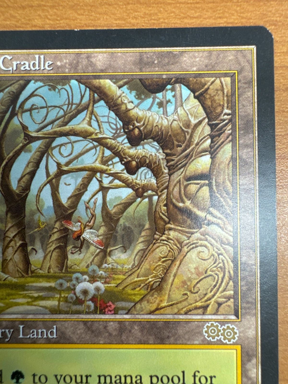 MTGガイアの揺籃の地/Gaea's Cradle [USG] 土地R（日） ガイアの揺籃の地 [USG] 【BIGWEB | MTG】日本最大級の激安
