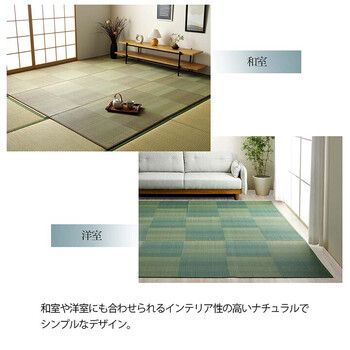 消臭 お手入れ簡単