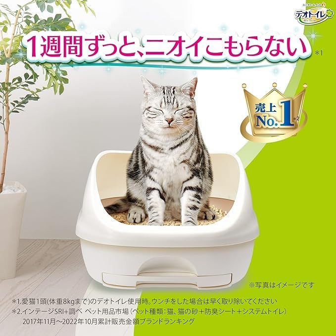 20枚入