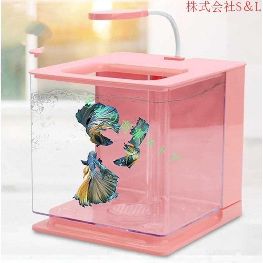 株式会社S＆L照らされた四角い箱 魚飼育