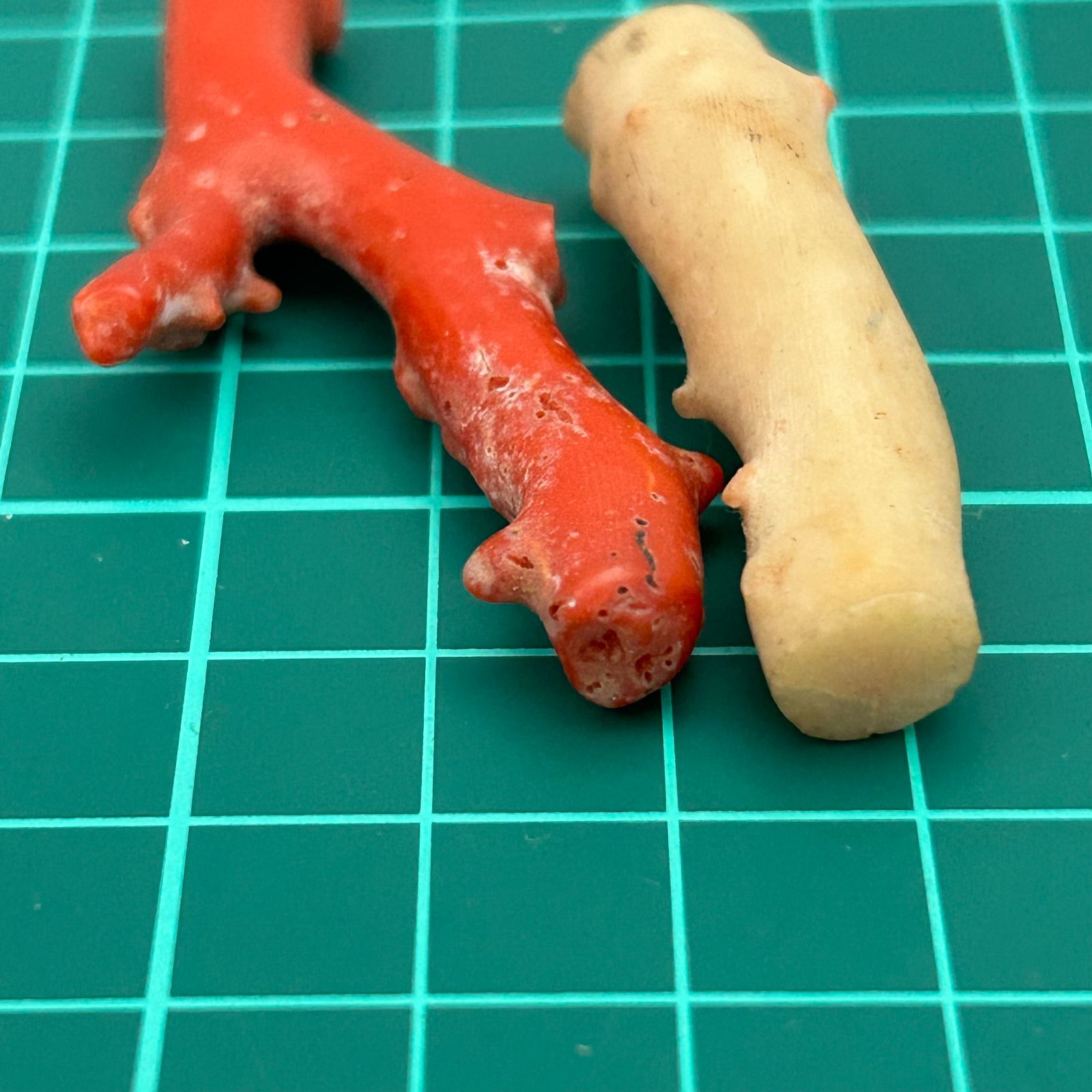 血赤珊瑚 白サンゴ(桃色サンゴ) 原木 2本 まとめセット - メルカリ