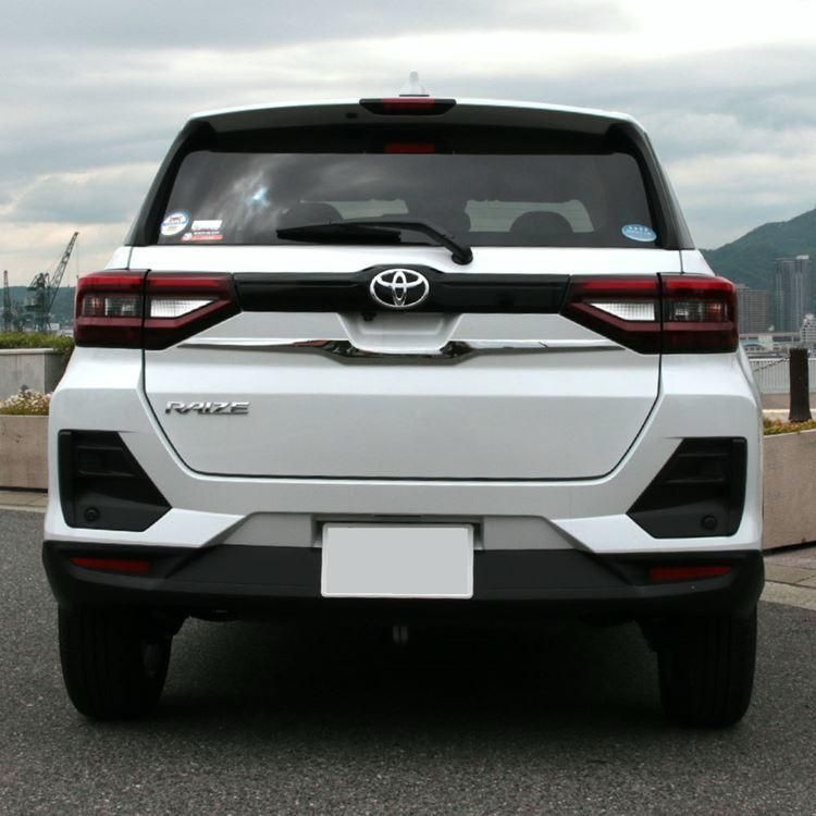 ロッキー バックドアガーニッシュ