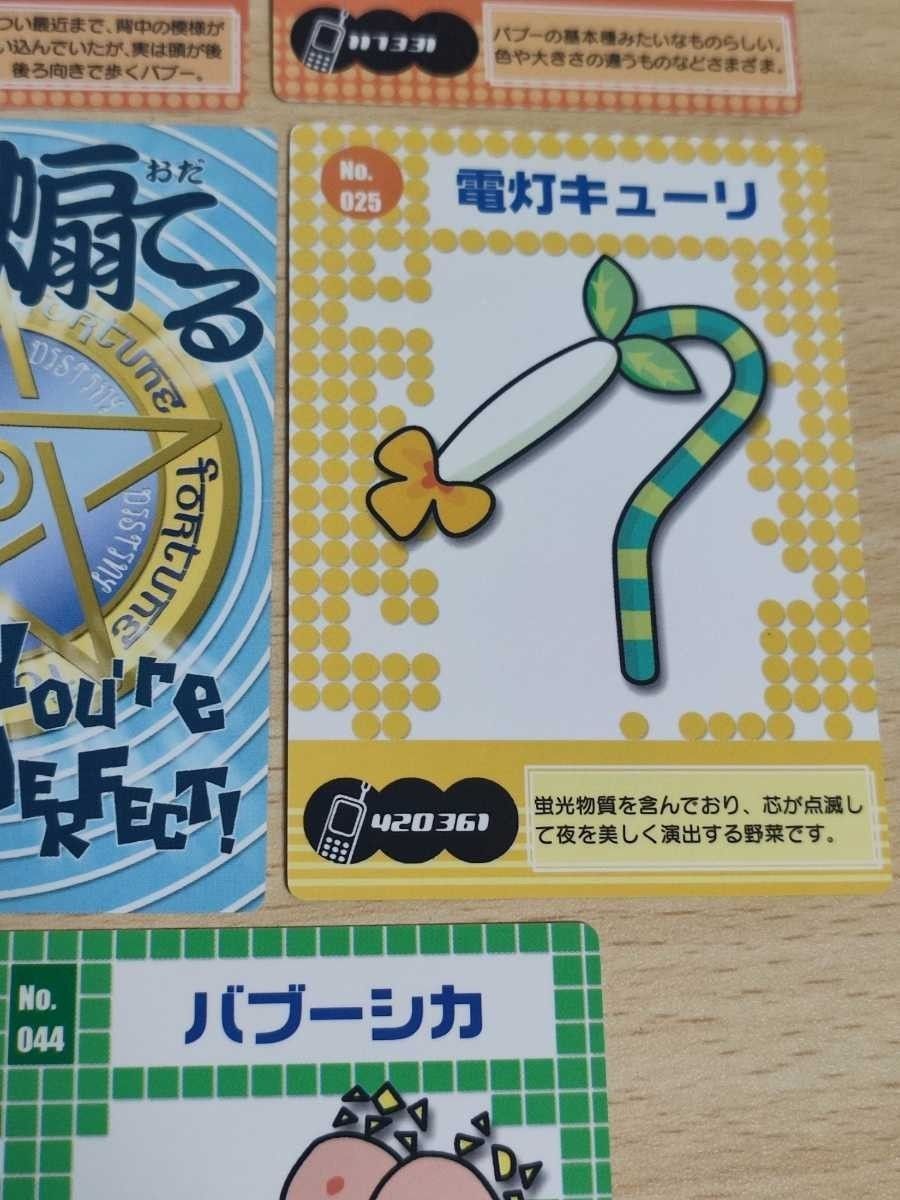 aca6 アストロノーカ カード まとめ バブー バブーファクトリー