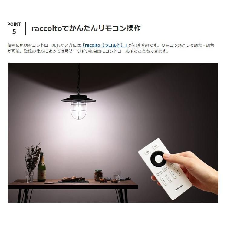 照明器具 ガラス