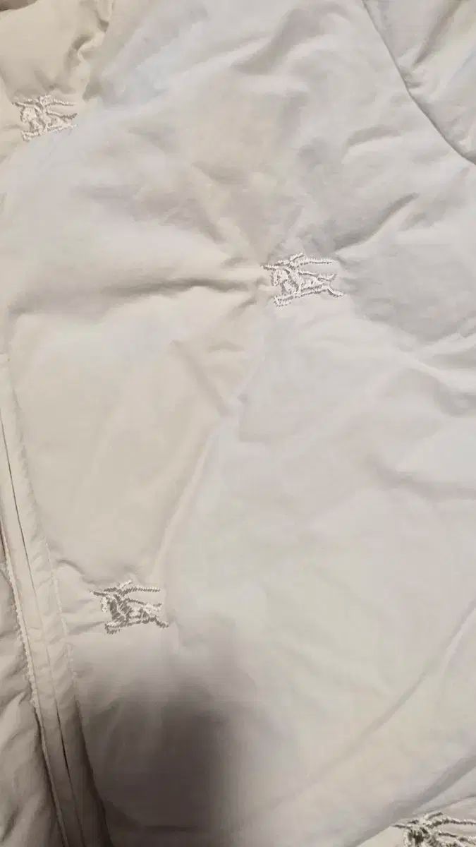  バーバリーキッズ ガールズ ダウン 10 y その他 ジャケット ブルゾン