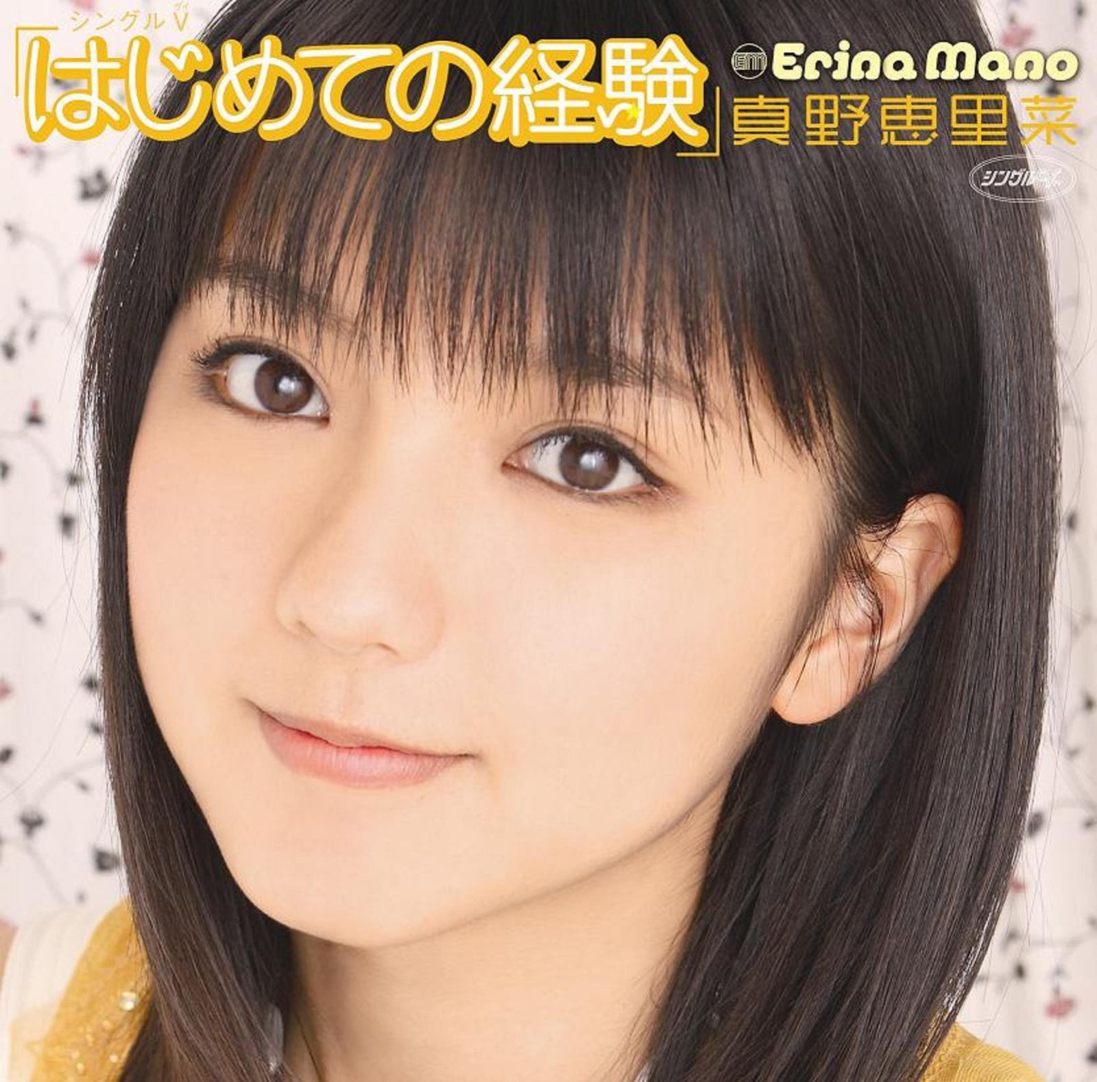 羽山奈保 NY イラスト 額装 ハーネミューレ 水彩 ギフトに！