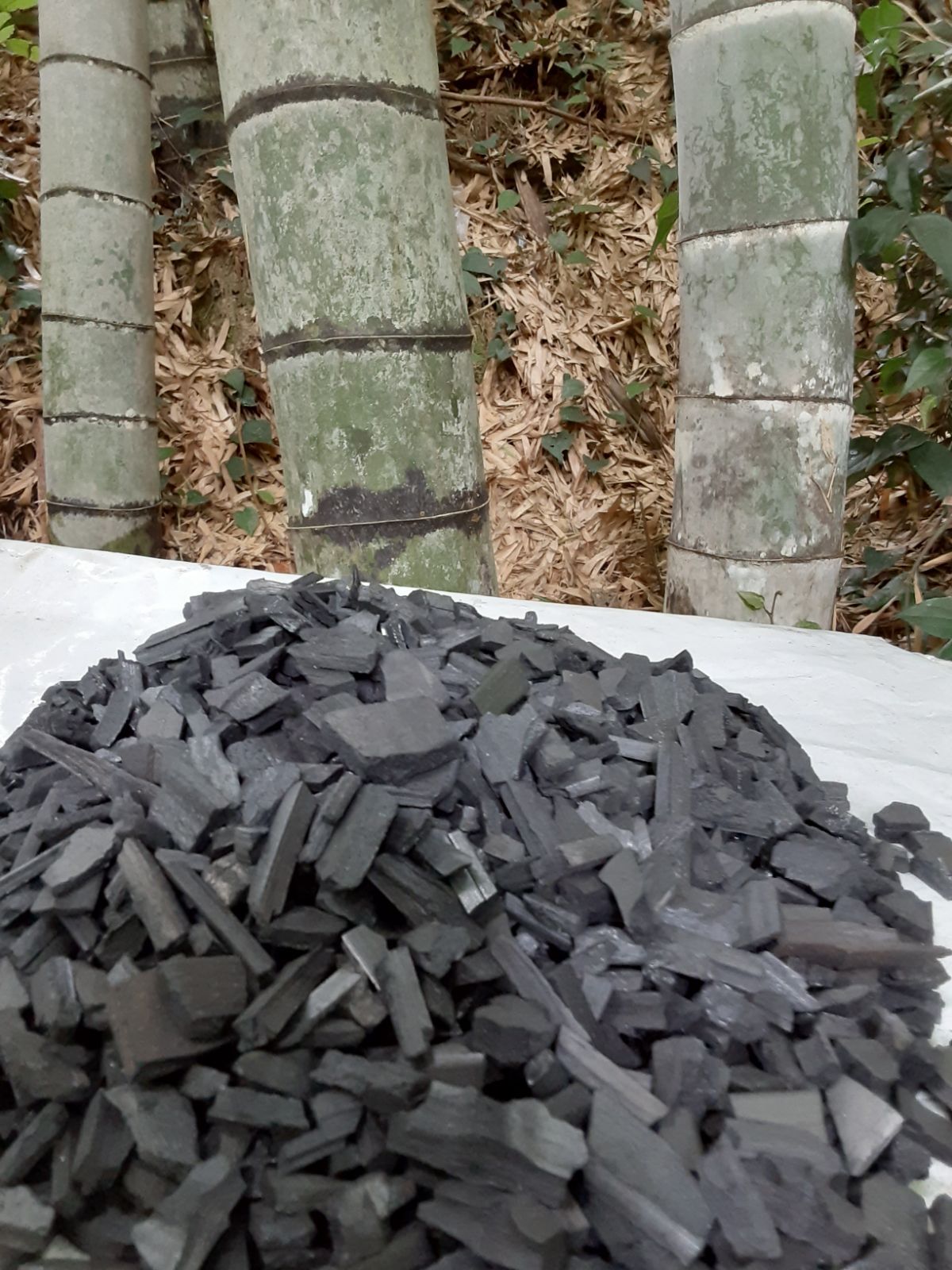 廃盤品！スノードーム♡I Love MY Disney CAT!塗り厳選！！ おしゃれ