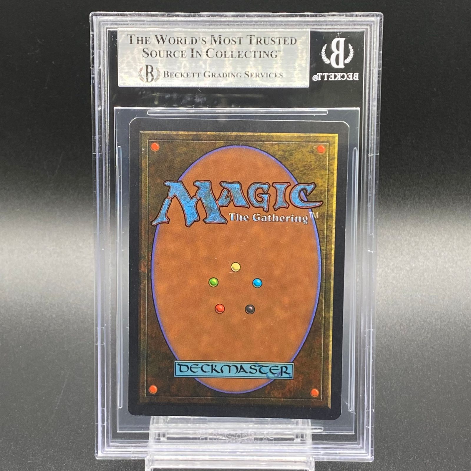 マジック：ザ・ギャザリング - 【BGS9】森 / Forest 基本土地 サマーマジック マジック：ザ・ギャザリング - 【BGS9】森 / Forest 基本土地