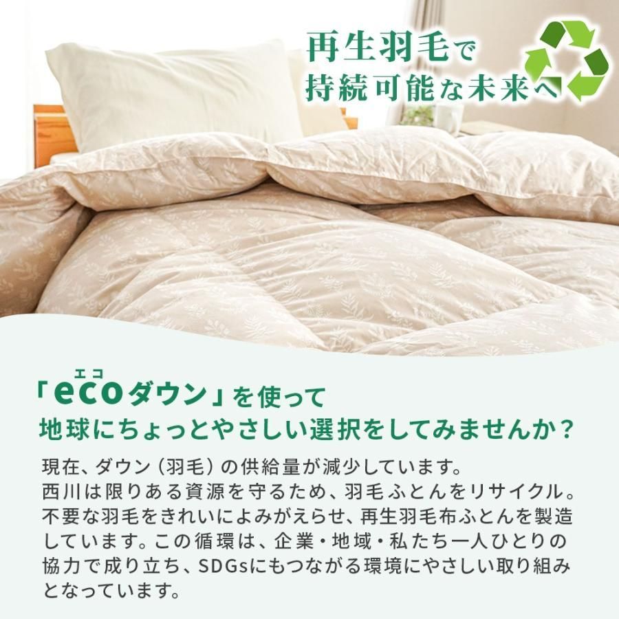ecoダウン エコダウン