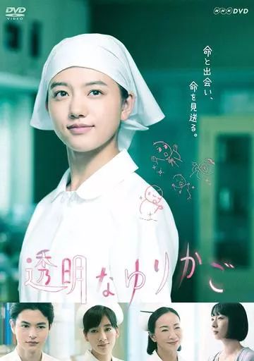 TVドラマDVD 透明なゆりかご DVD-BOX