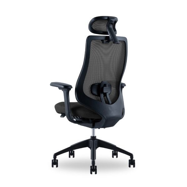 高機能オフィスチェア Type-LB フレーム：ブラック/張地：ブラック 組立品〔代引不可〕(代引不可)