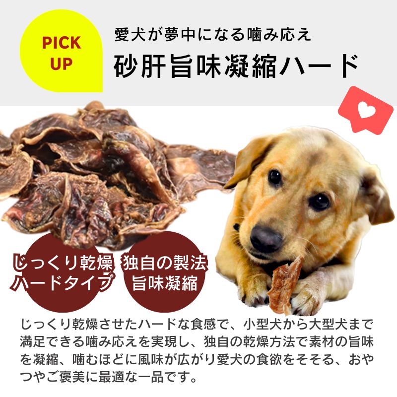 送料無料】プレミアム長持ちおやつ 砂肝ハード 45g×20袋セット 