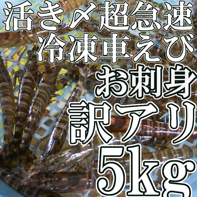 訳アリ お刺身で食べられる 活き〆超急速冷凍車えび5kg 車海老 山口県産 ギフトお歳暮 御中元 お徳用