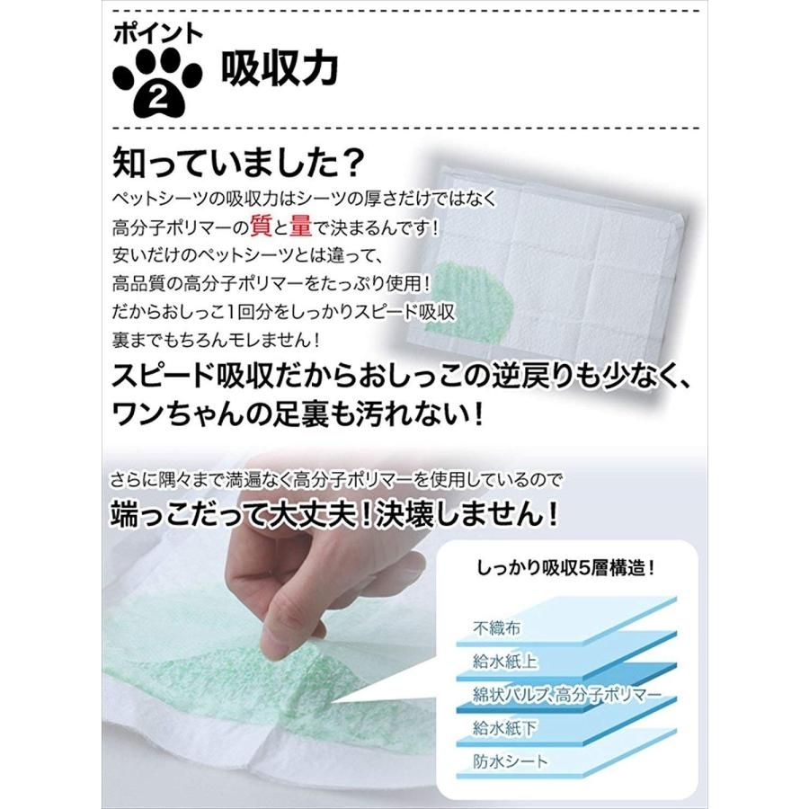 100枚入