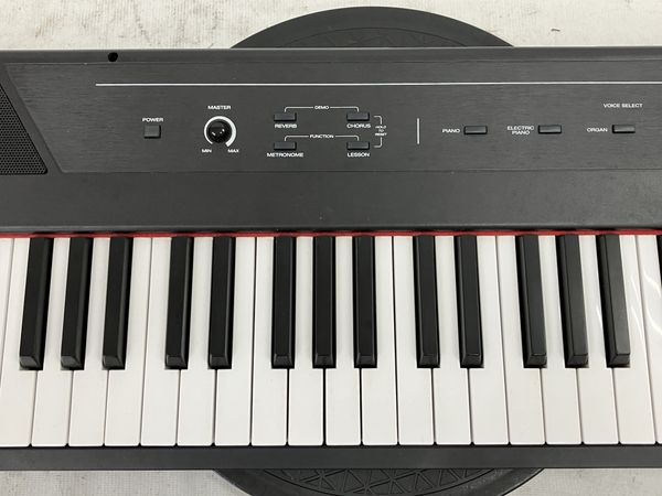 Alesis RECITAL 電子ピアノ キーボード 88鍵盤 楽器 アレシス