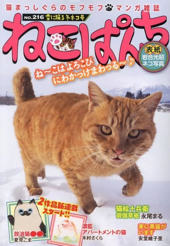 【中古】 ねこぱんち ９２（旅ねこ号）/少年画報社 ねこぱんち 夏の花火と涼みネコ号 (にゃんCOMI) | アンソロジー