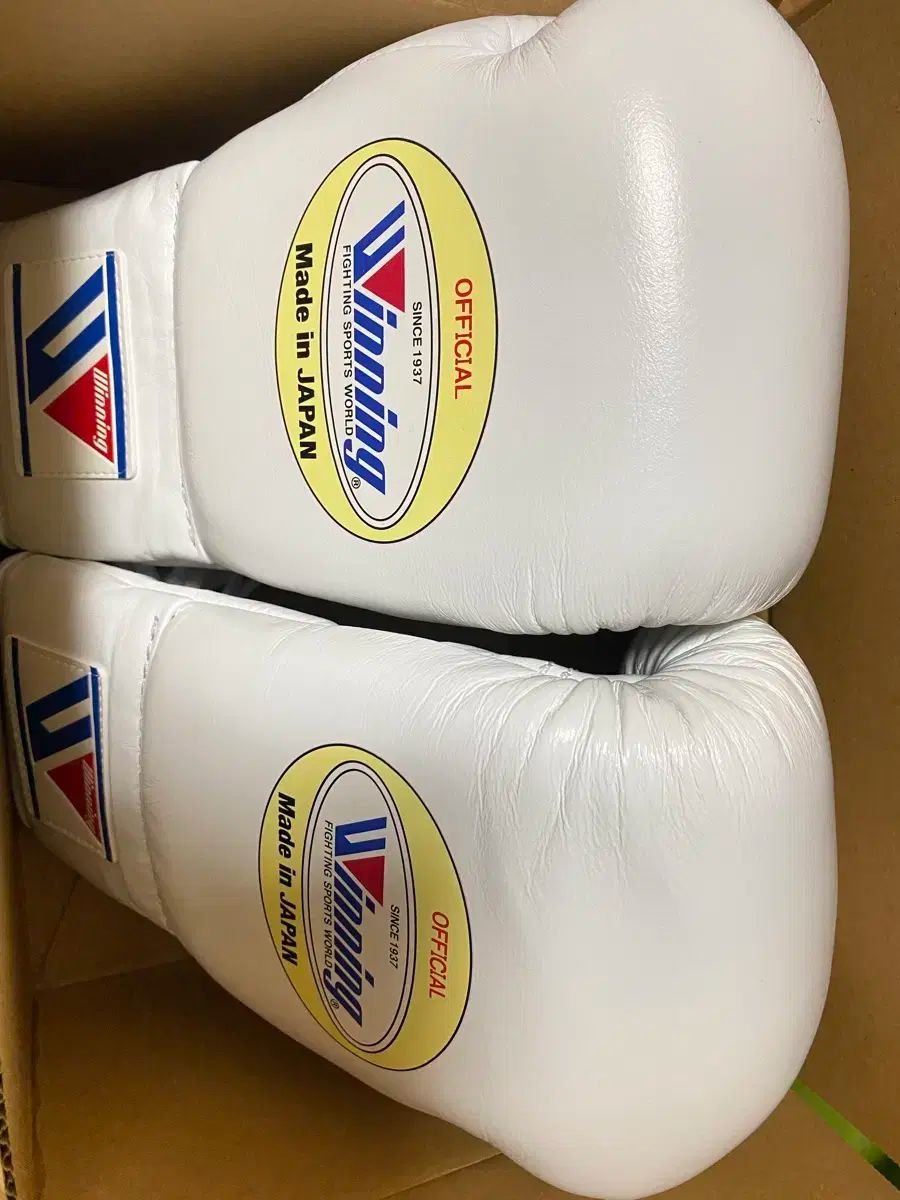 Winning グローブ 8oz 半月使用 美品 トレーニング向け ウイニング