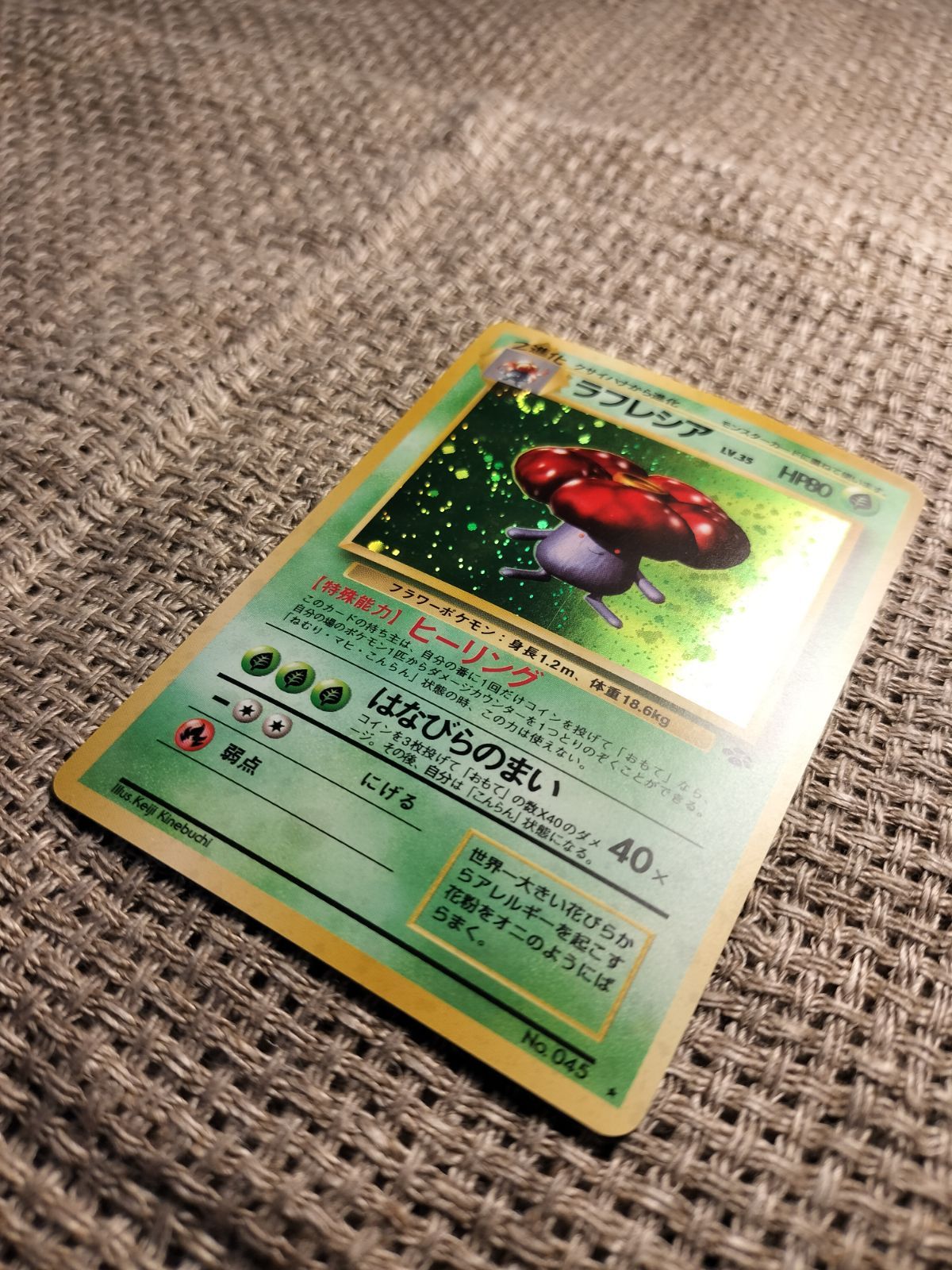 ラフレシア 旧裏　極上品 ラフレシア 旧裏 良品 - メルカリ