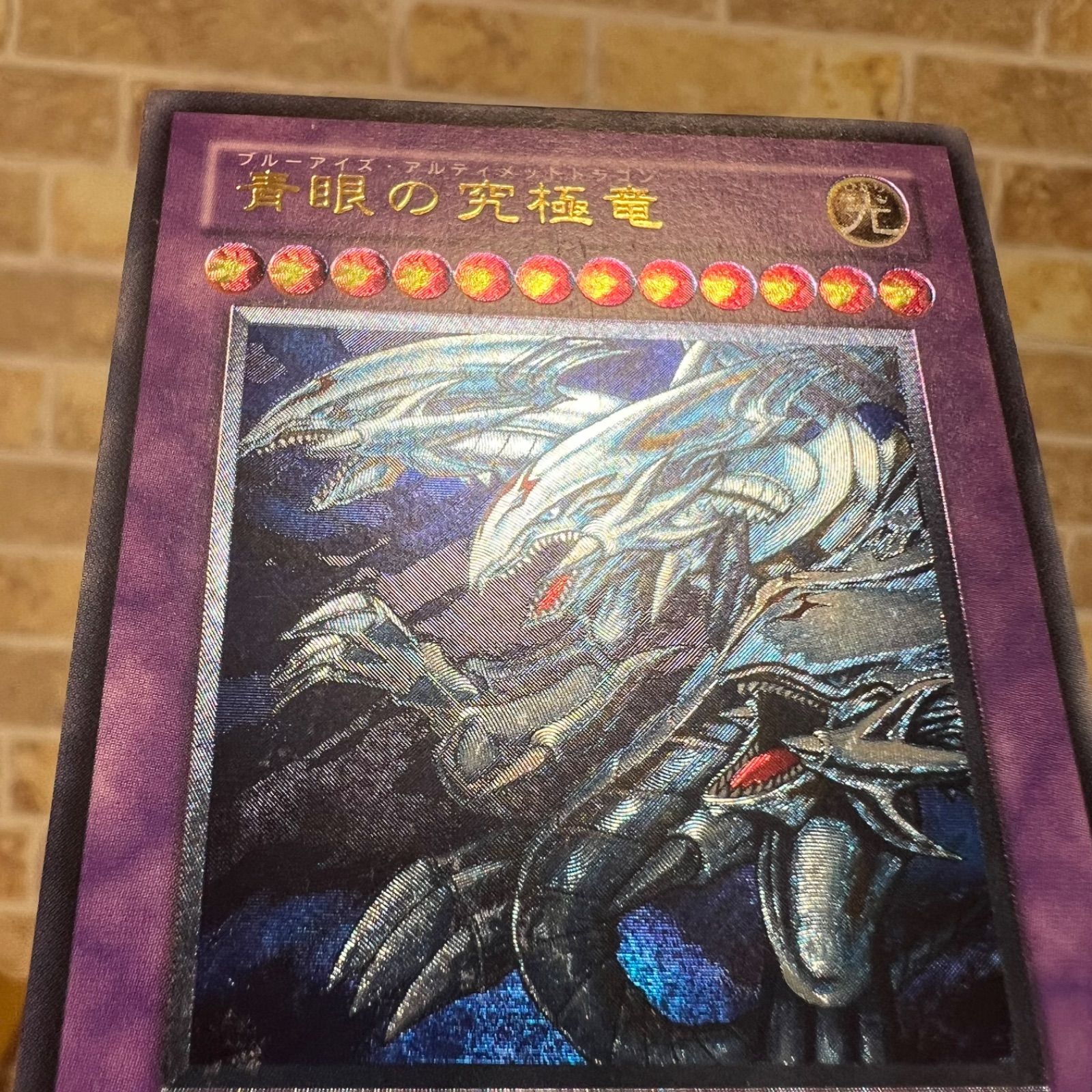 ブルーアイズアルティメットドラゴン　レリーフ 青眼の究極竜【レリーフ】{PGB1-JP028}《融合》