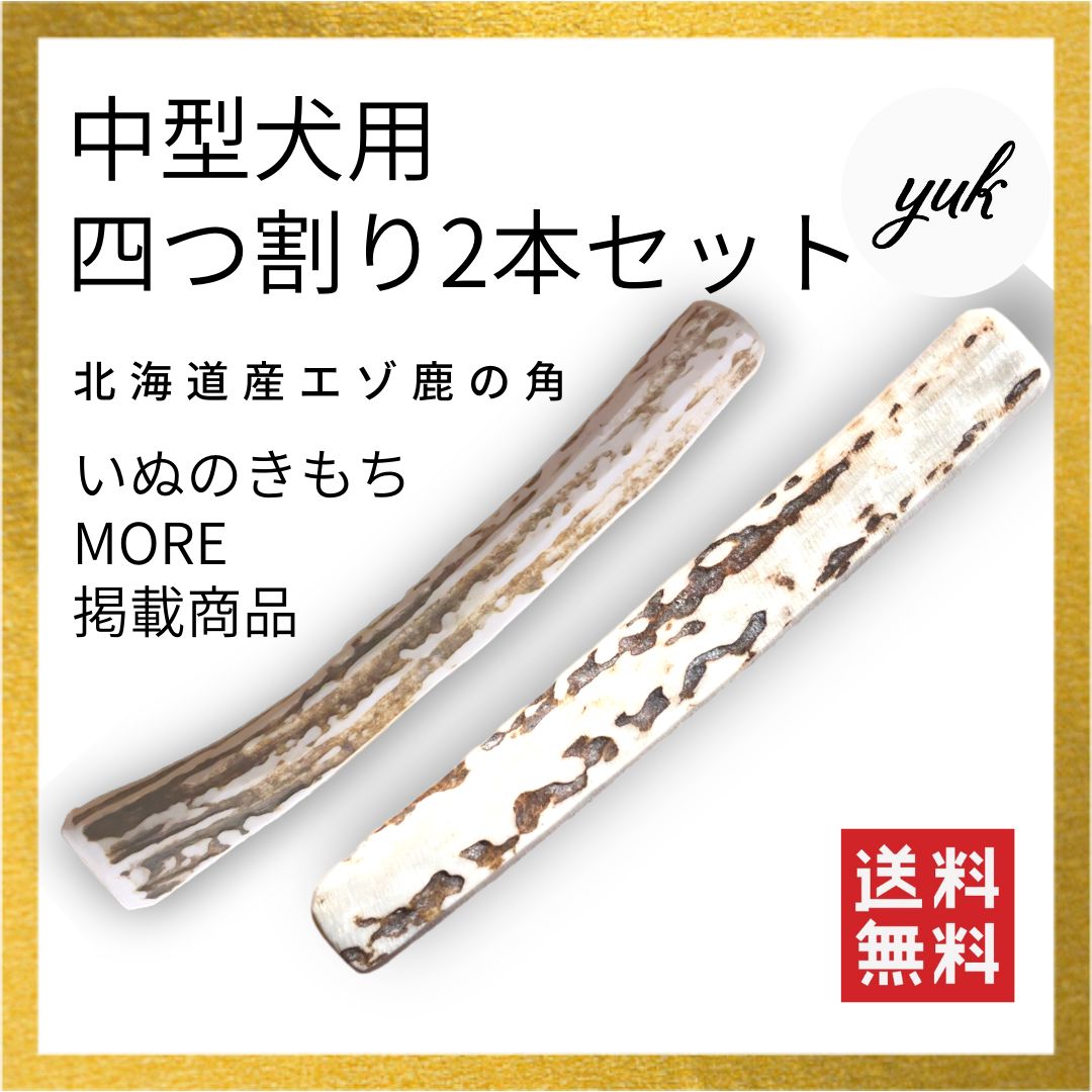 のサムネイル