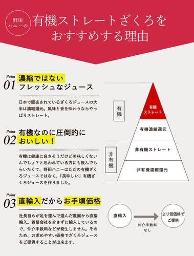 野田ハニー